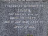image of grave number 953982